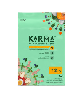 KARMA BALANcED NUTRITION Plant-First Recipe, Adult Natural Dry Dog Food with chicken, 12 lb Bag
