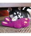 KONG Company 38749825: Snuzzles Dog Toy, Bunny Md