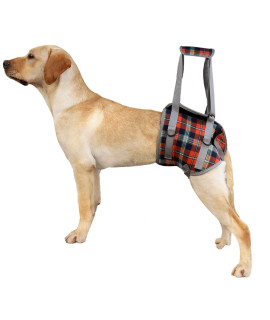 Rozkitch Dog Lift Harness, Grid Pet Rear Support Aid Veterinarian Approved Sling For Old K9 Help With Poor Stability, Back Leg Hip Disabled Joint Injury Elderly Arthritis Acl Rehabilitation Rehab