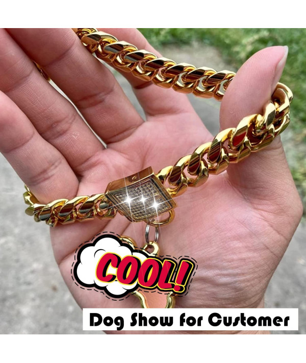  Gold Dog Chain Collars with Cubic Zirconia Locking