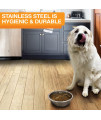 Neater Pet Brands Stainless Steel Dog and Cat Bowls - Extra Large Metal Food and Water Dish (16 Cup)