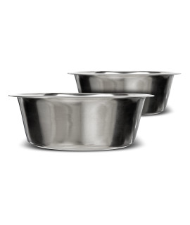 Neater Pet Brands Stainless Steel Dog and Cat Bowls (2 Pack) - Extra Large Metal Food and Water Dish (16 Cup)
