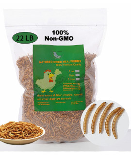 Euchirus Non-GMO High-Protein Large Dried Mealworms for Chickens, Natural Grubs and Poultry Treats as Chicken Feed,Duck Food, Wild Birds Seed,Fish Food,Reptile Food,Amphibian Food(Mealworms-22LB)