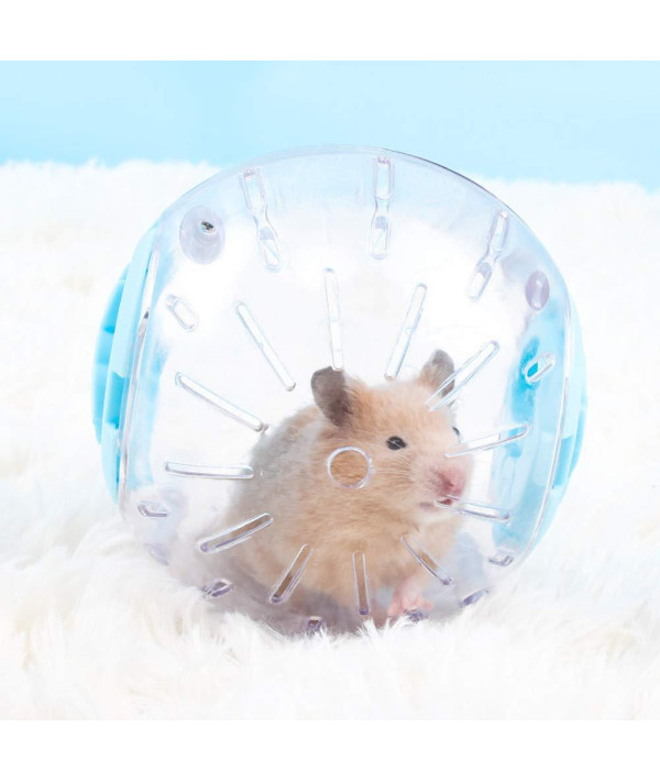 Buy Hamster Ball 4.92 inch Multi-Size Crystal Running Ball for Hamsters Run-About  Exercise Fitness Wheels Small Animal Toys Chinchilla Cage Accessories (S,  Blue C) Online at Low Prices in USA 