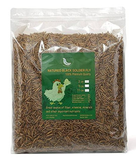 Black Soldier Fly Larvae Dried Mealworms for Chickens, 100% Natural Premium Quality Non-GMO, Treats for Birds Hedgehog Hamster Fish Reptile Turtles (44LB)