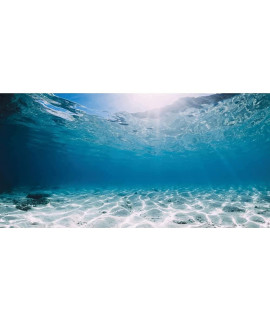 Awert 36X18 Inches Vinyl Undersea Ocean Floor Aquarium Background Tropical Tank Background
