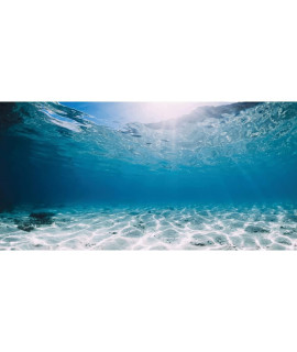 Awert 48X18 Inches Polyester Ocean Floor Background Undersea Ocean Floor Aquarium Background Tropical Tank Background