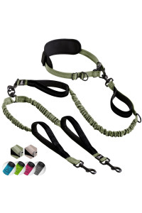 SparklyPets Hands Free Double Dog Leash - Dual Dog Leash for Medium and Large Dogs - Dog Leash for 2 Dogs with Padded Handles, Reflective Stitches, No Pull, Tangle Free (Green Range, for 2 Dogs)