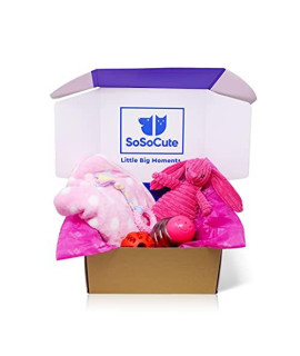 SoSoCute Pink Dog Gift Box - Puppy Chew Toy Set of 5 - Puppy Care Package with Dog Blanket, Squeaky Plush, Rubber Puppy Teether, Teething Ball, and Treat Ball for Small and Medium Dogs