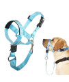 Barkless Dog Head Collar, No Pull Head Halter For Dogs, Adjustable, Padded Headcollar With Training Guide - Stops Pulling And Choking On Walks, Light Blue, Xl