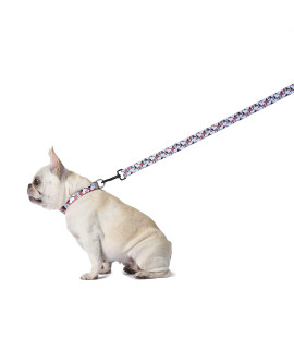 Peanuts for Pets Snoopy Dog Leash, 6 Feet (72 Inch) | 6 Foot Dog Leash, Snoopy Gifts Officially Licensed by Peanuts | Red and White Peanut Snoopy Dog Leash Dog Apparel & Accessories