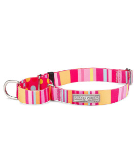 Lucky Love Dog Martingale Collar | Premium No Slip Collar | Martingale Dog Collars for Medium Dogs | Great for Whippets, Greyhounds, and More (Molly, Medium)