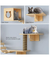 Cat Wall Shelves and Perches Set, Floating Cat Wood Climb Furniture, Cat Wall-Mounted Playing Climber, 2 Cat Houses & 4 Cat Shelves & 2 Ladders & 1 Cat Scratching Post