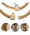 Aiyidi Gold Dog Chain Collar 10mm Wide Cuban Link Puppy Collar Golden Dog tag Golden Bell Stainless Steel with Bling Cubic Zirconia Secure Buckle Choke Collar for Dogs(22inches)