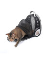 Yanghyu Back Expandable Cat Backpack, Bubble Backpack Carrier, Cats and Puppies,Airline-Approved, Designed for Travel, Hiking, Walking & Outdoor Use