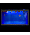 ELEBOX Aquarium Background Blue Black Fish Tank Background Picture 2 Sides Fish Backdrop for Aquarium Wallpaper 12x 32
