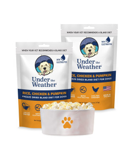 Under the Weather Pet Easy to Digest Bland Dog Food Diet contains Electrolytes - gluten Free, All Natural, Freeze Dried 100% Human grade 2 Pack - Rice, chicken & Pumpkin