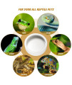 Reptile Food Water Bowls - Amphibian Feeding Dish, Resin Rock Worm Feeder Terrarium for Lizards, Chameleon, Leopard Gecko, Frog, Bearded Dragons, Snake, Hermit Crabs, Turtle Spider Pet