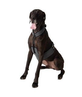 CoolerDog Dog Cooling Vest and Cooling Collar - Ice Vest for Dogs (XL)