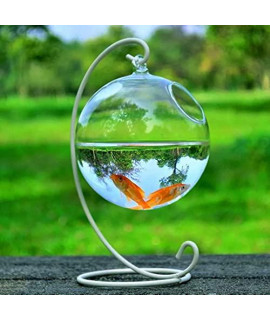 Uxzdx Cujux 1Set Round Shape Hanging Glass Aquarium Fish Bowl Fish Tank Flower Plant Vase Transparent Spherical Glass Handmade Fish Tank (Color : White)