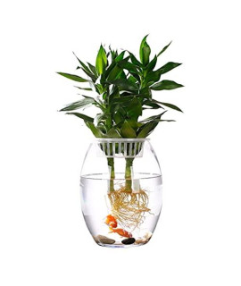 Tyjusa Litter Fish Tank Glass Creative Cylindrical Desk Personality Small Desktop Small Fish Mini Tank (Color : Clear Size : 30Cm)