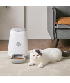 Staltwo Pet feeder? Healthy Pet Gravity Food or Water Station, Automatic Dog and Cat Feeder or Water Dispenser