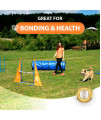 SparklyPets Dog Agility Training Equipment Set for Indoor & Outdoor - Complete Dog Agility Equipment for Dogs - Dog Agility Course with Weave Poles, Pause Box, Tunnel, Tire & Hurdle Jump