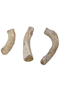 Outdoor Hunting Lab Deer Antlers for Dogs Large (1 Pound) - 3? to 8? Premium Quality Dog Antlers for Aggressive Chewers - Naturally Shed Dog Chew Antlers - Healthy Dog Antler Chews, Made in USA