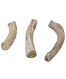 Outdoor Hunting Lab Deer Antlers for Dogs Large (1 Pound) - 3? to 8? Premium Quality Dog Antlers for Aggressive Chewers - Naturally Shed Dog Chew Antlers - Healthy Dog Antler Chews, Made in USA