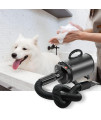 dogii dogii Dog Hair Dryer Quick Dry 2800W Noise Reduction Pet Hair Dryer Home Use Professional Stepless Adjustable Speed Dog Hair Dryer Spring Hose 4 Nozzles Dog Blow Dryer for Grooming with Heater
