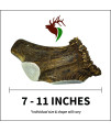 Elkhorn Premium Chews - Giant Split Single Pack (for 75+ lb Dogs) Premium Grade Elk Antler Dog Bone (1 Piece) Sourced in The USA