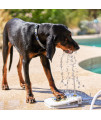 Outdoor Dog Water Fountain, Step On Paw Activated Dispenser for Dogs, Upgraded Sprinkler, Easy to Use and Sturdy for Fresh Drinking Water