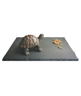 Cakocaco 12"x8" Tortoise Basking Platform Resting Terrace Turtle Feeding Bowl Dish Bathing Area, Rock Plate Easy for Grind Nails(2pcs)