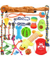 Aipper Dog Puppy Toys 20 Pack, Puppy Chew Toys for Fun and Teeth Cleaning, Plush Squeaky Toys, Dog Treat Dispenser Ball, Tug of War Toys, Puppy Teething Toys, Dog Rope Toys for Medium to Small Dogs
