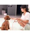 Pet Life Ever-Craft Boutique Series Adjustable Designer Leather Dog Collar, LG, Grey