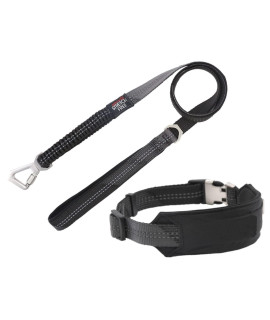 Pet Life Geo-prene Shock Absorbing Neoprene Reflective Dog Leash and Collar, SM, Black