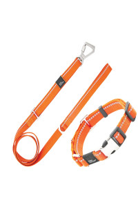 Pet Life Advent Outdoor Series Reflective Training Dog Leash and Collar, LG, Orange