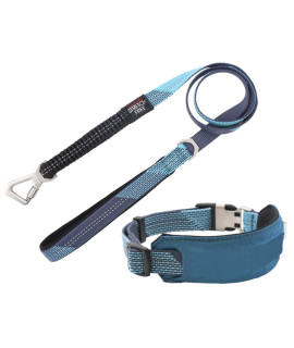 Pet Life Geo-prene Shock Absorbing Neoprene Reflective Dog Leash and Collar, SM, Blue