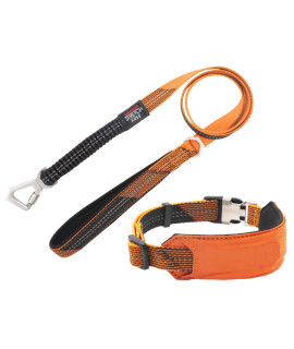 Pet Life Geo-prene Shock Absorbing Neoprene Reflective Dog Leash and Collar, MD, Orange