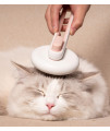 Pet Life ? 'Concepto' Modern Bristle Grooming Pet Deshedder Comb