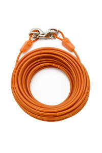 IntelliLeash Tie-Out Cables for Dogs. Lengths up to 100 Feet and Breeds of Dogs up to 250 Pounds (250 lb / 75 ft)
