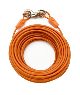 IntelliLeash Tie-Out Cables for Dogs. Lengths up to 100 Feet and Breeds of Dogs up to 250 Pounds (250 lb / 75 ft)