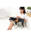 Pet Life ? 'Ever-Craft' Boutique Series Adjustable Designer Leather Dog Harness