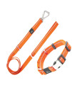 Pet Life Advent Outdoor Series Reflective Training Dog Leash and Collar, SM, Orange