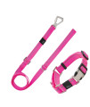 Pet Life Advent Outdoor Series Reflective Training Dog Leash and Collar, LG, Pink