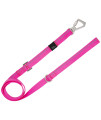 Pet Life Advent Outdoor Series Reflective Training Dog Leash and Collar, LG, Pink