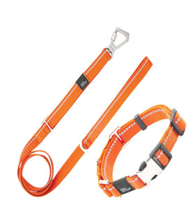Pet Life Advent Outdoor Series Reflective Training Dog Leash and Collar, MD, Orange