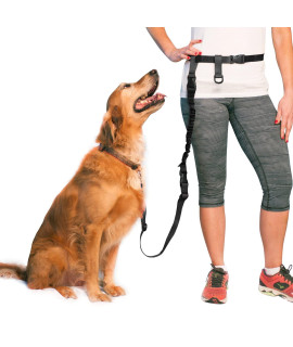 The Buddy System Adjustable Hands Free Dog Leash for Running, Jogging and Training Service Dogs Made in USA (Regular Belt (22- 40 Waist), Bundle Leash Lunge Buster)