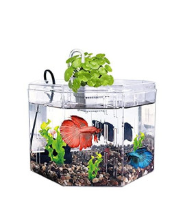 Wanhaishop Fish Bowl Creative Small Fish Tank Acrylic Transparent Betta Fish Tank Ornamental Fish Tank Water Plant Tank Office Household Fishbowl