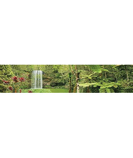 Reptile Habitat Background; Rain Forest, Waterfall, Red Leaves, for Zoo Med 40 gal. 36Lx18Wx18H Terrarium, 3-Sided Wraparound